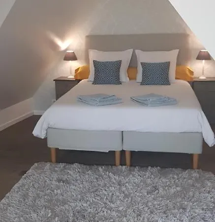 Le Nid De L'ill, Magnifique Duplex Cosy Petite France * Straßburg