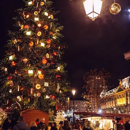 Le Nid De L'ill, Magnifique Duplex Cosy Petite France * 스트라스부르