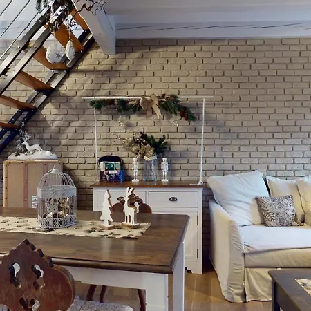 Apartment Le Nid De L'ill, Magnifique Duplex Cosy Petite France *