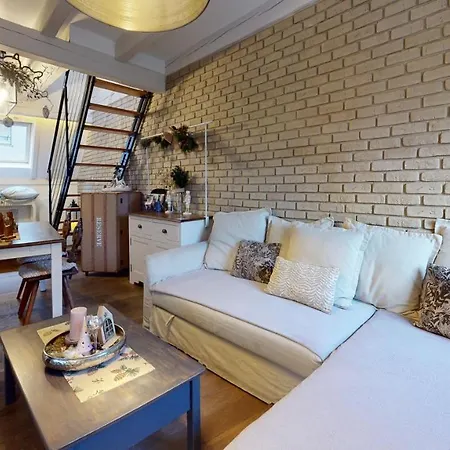 Le Nid De L'ill, Magnifique Duplex Cosy Petite France