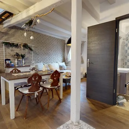 Le Nid De L'ill, Magnifique Duplex Cosy Petite France Strasburgo