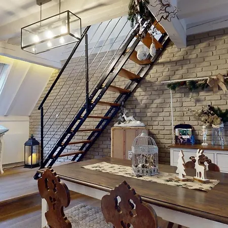 Le Nid De L'ill, Magnifique Duplex Cosy Petite France Appartement