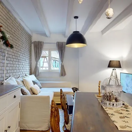 Le Nid De L'ill, Magnifique Duplex Cosy Petite France