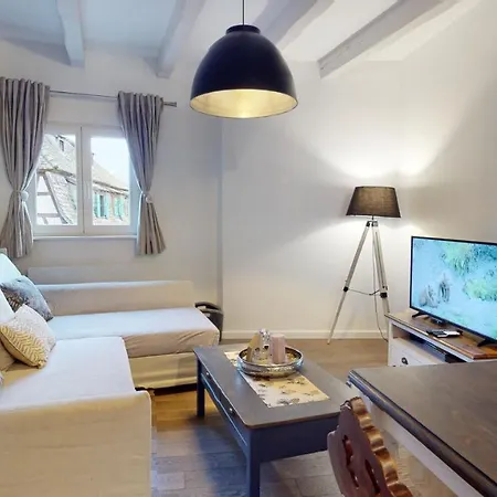 Le Nid De L'ill, Magnifique Duplex Cosy Petite France * Štrasburk