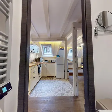 Apartmán Le Nid De L'ill, Magnifique Duplex Cosy Petite France *