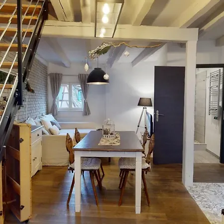 Le Nid De L'ill, Magnifique Duplex Cosy Petite France * Štrasburk