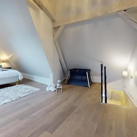 Le Nid De L'ill, Magnifique Duplex Cosy Petite France Appartamento
