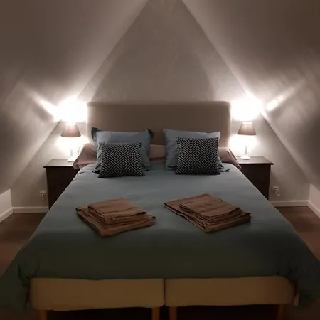 Le Nid De L'ill, Magnifique Duplex Cosy Petite France * Strasburgo