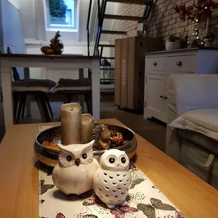 Le Nid De L'ill, Magnifique Duplex Cosy Petite France Appartamento *