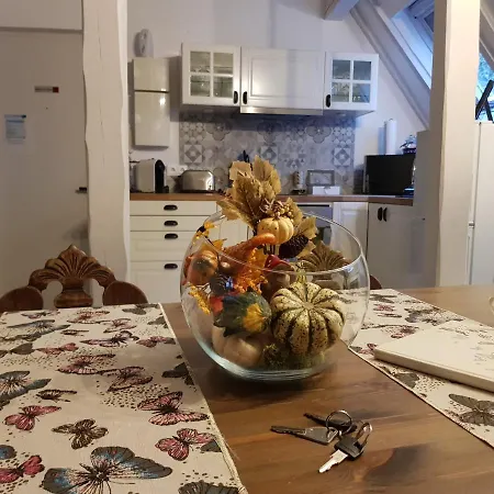 Le Nid De L'ill, Magnifique Duplex Cosy Petite France Strasburgo