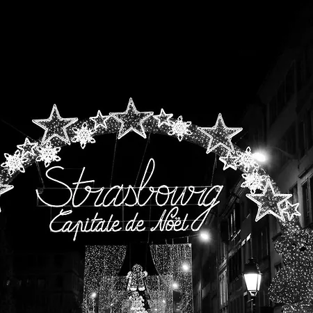 Le Nid De L'ill, Magnifique Duplex Cosy Petite France Strasburgo