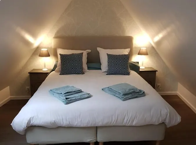 Апартаменты Le Nid De L'ill, Magnifique Duplex Cosy Petite France *