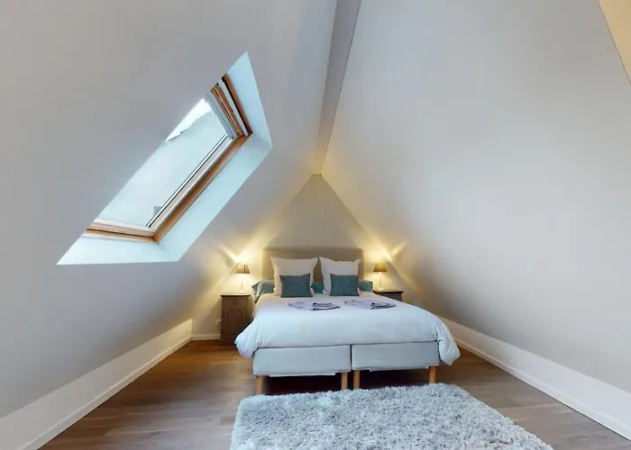 Апартаменты Le Nid De L'ill, Magnifique Duplex Cosy Petite France