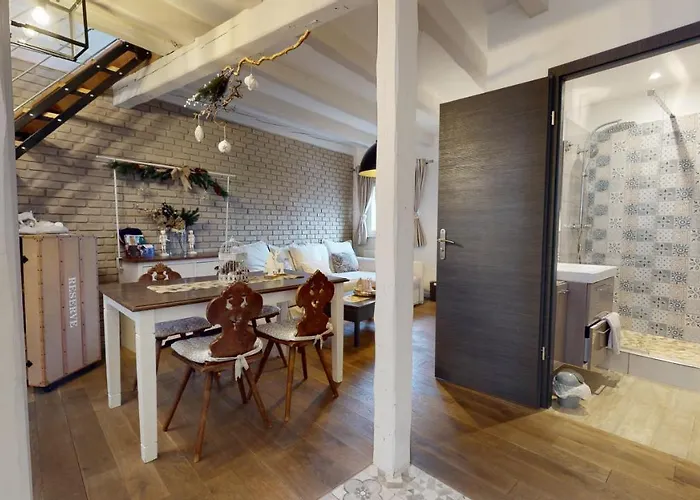 Le Nid De L'ill, Magnifique Duplex Cosy Petite France ストラスブール