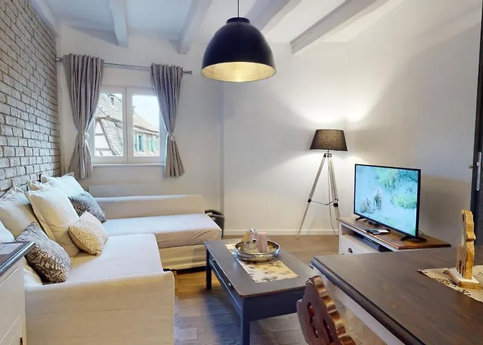 Le Nid De L'ill, Magnifique Duplex Cosy Petite France * ストラスブール