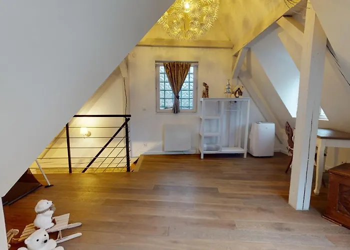 Le Nid De L'ill, Magnifique Duplex Cosy Petite France * Страсбург