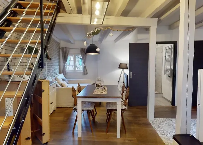 Le Nid De L'ill, Magnifique Duplex Cosy Petite France * Страсбург