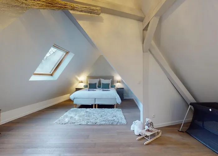 Le Nid De L'ill, Magnifique Duplex Cosy Petite France Апартаменты Страсбург