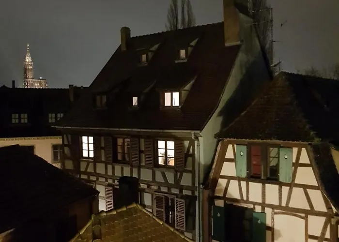 Le Nid De L'ill, Magnifique Duplex Cosy Petite France * ストラスブール