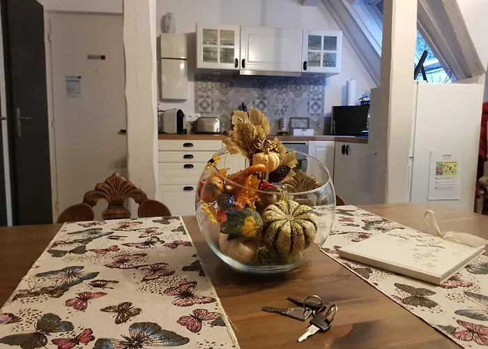Le Nid De L'ill, Magnifique Duplex Cosy Petite France Страсбург