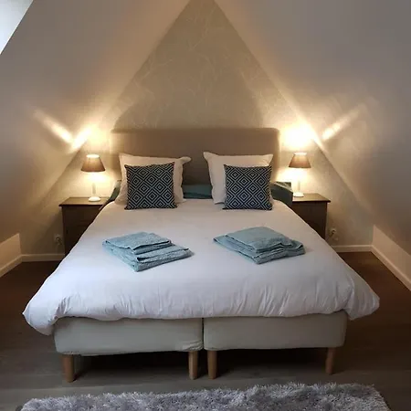 Διαμέρισμα Le Nid De L'ill, Magnifique Duplex Cosy Petite France *