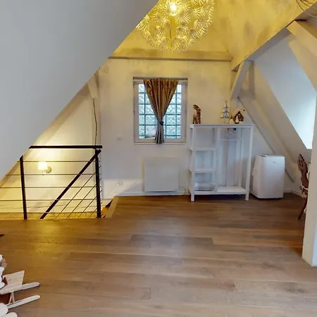 Le Nid De L'ill, Magnifique Duplex Cosy Petite France * Στρασβούργο