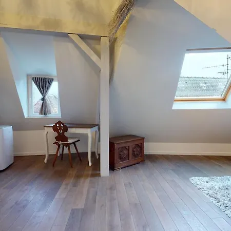 Le Nid De L'ill, Magnifique Duplex Cosy Petite France Διαμέρισμα *