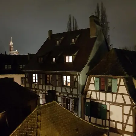 Le Nid De L'ill, Magnifique Duplex Cosy Petite France * Στρασβούργο