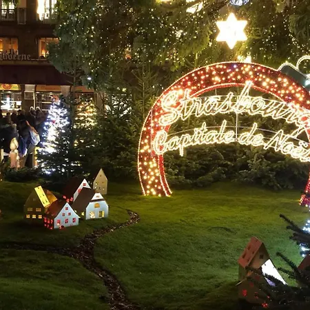 Διαμέρισμα Le Nid De L'ill, Magnifique Duplex Cosy Petite France Στρασβούργο