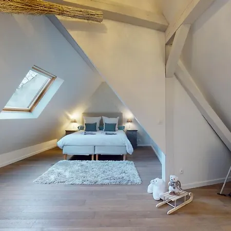 Le Nid De L'ill, Magnifique Duplex Cosy Petite France Apartament Strasburg