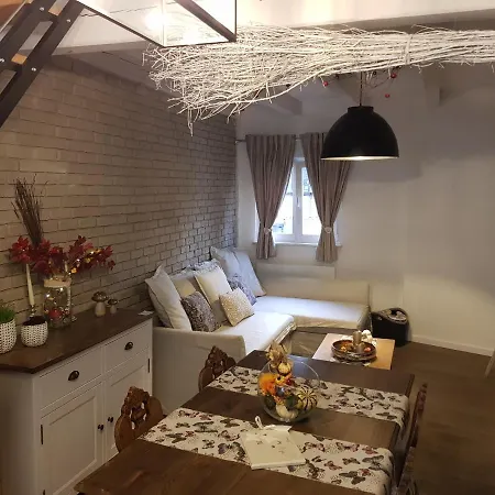 Le Nid De L'ill, Magnifique Duplex Cosy Petite France Strasbourg