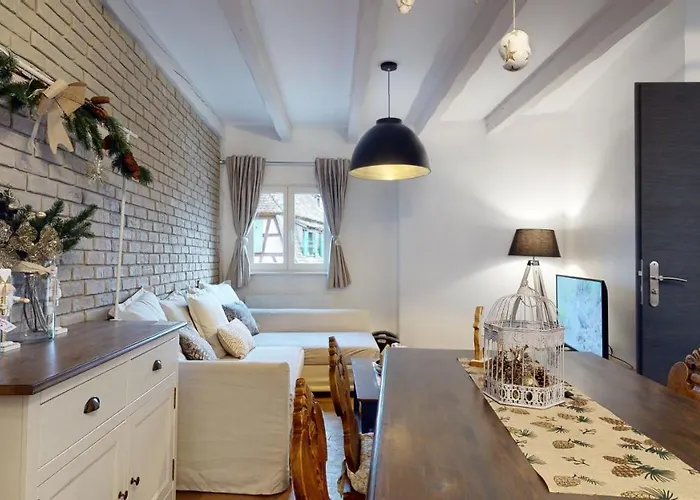 Le Nid De L'ill, Magnifique Duplex Cosy Petite France