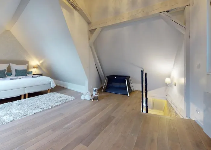 Le Nid De L'ill, Magnifique Duplex Cosy Petite France Apartment
