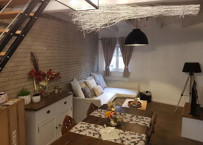 Le Nid De L'ill, Magnifique Duplex Cosy Petite France Strasbourg