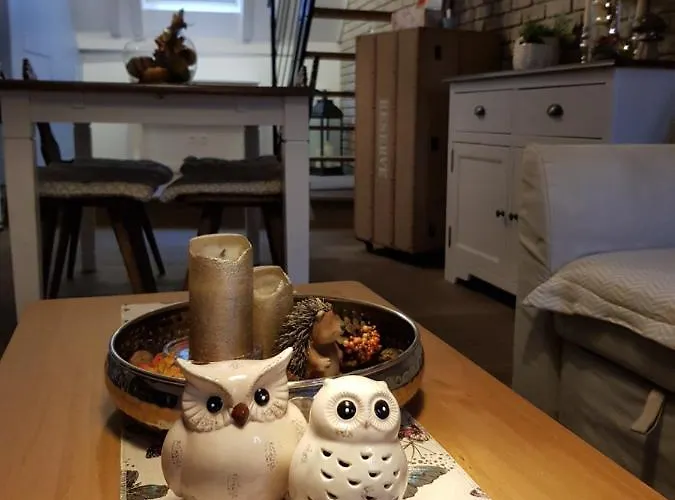 Le Nid De L'ill, Magnifique Duplex Cosy Petite France Apartment *